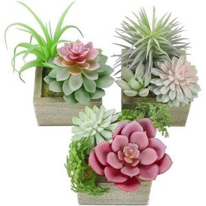 Artificial Succulents Plants, Mini Assorted Green Faux Succulents in Pots, Small